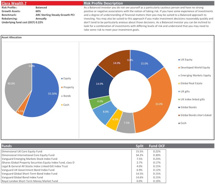 Portfolio model sample investment financial