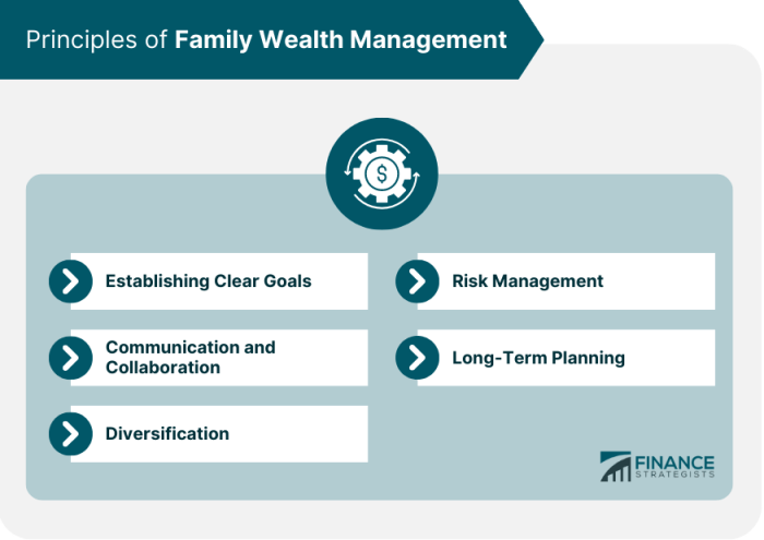 Family wealth pyramid mentoring tm