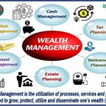 Wealth management manager investment
