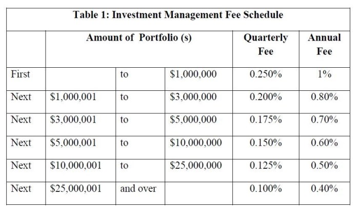 Financial providence wealth advisor